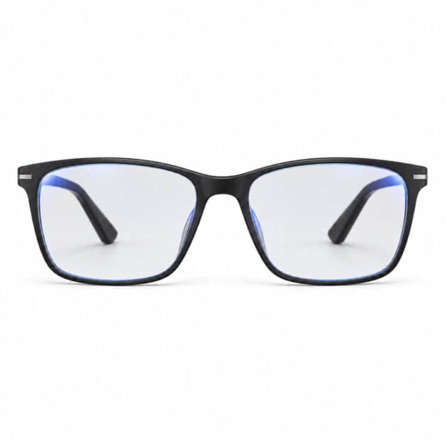 Intelligent Glasses